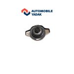 درب رادیاتور لیفان X60